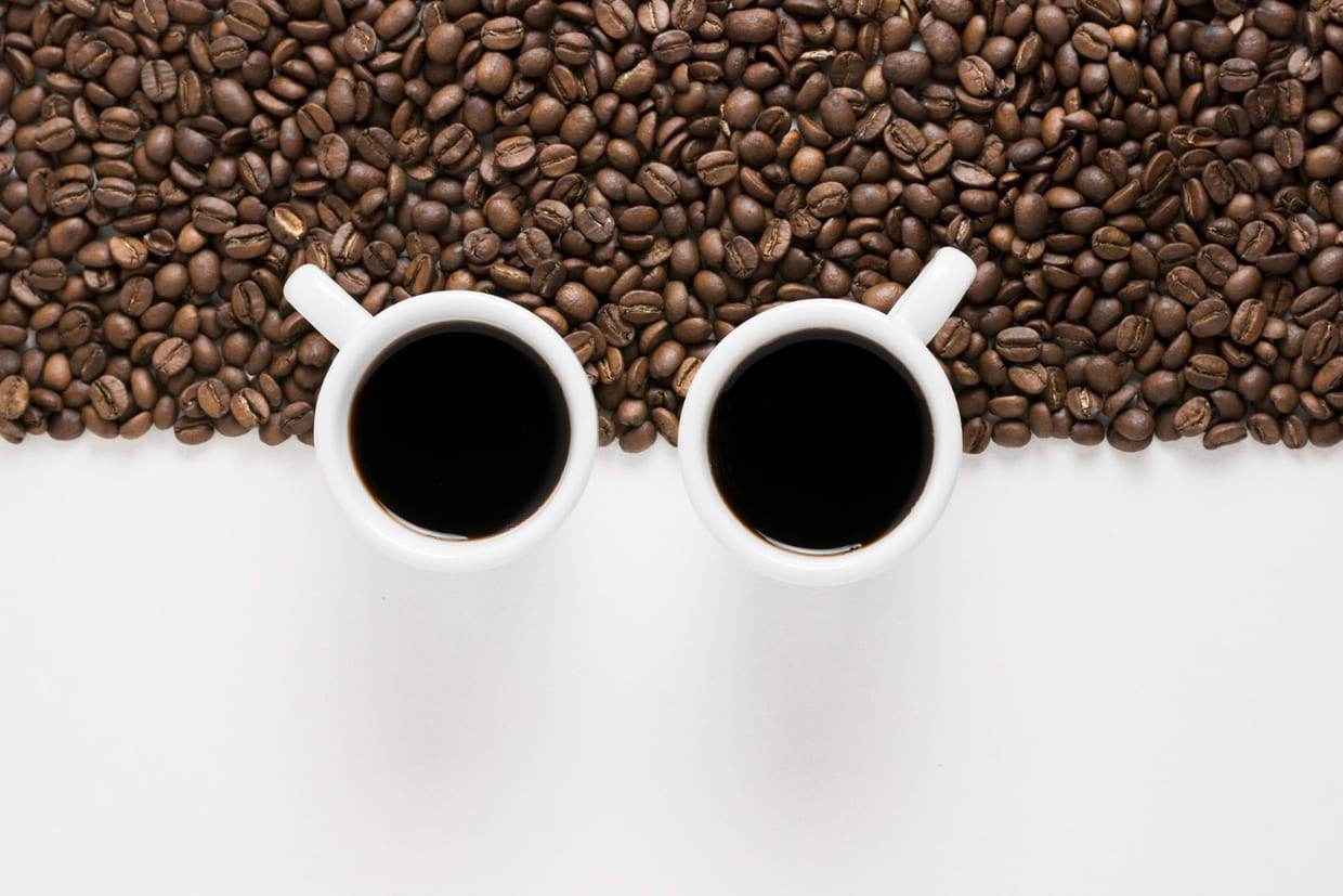 O que as aves sabem sobre café que a ciência demorou para entender