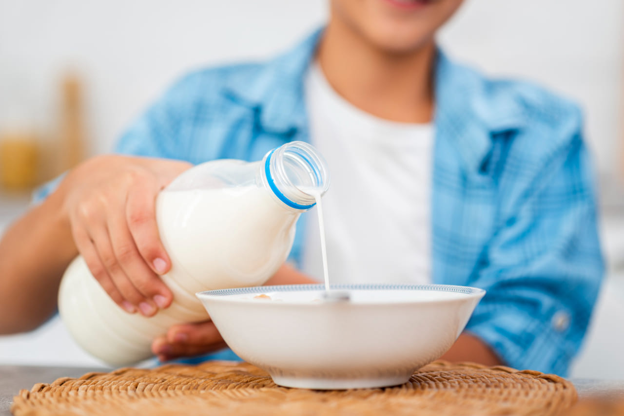Leite de barata: o alimento que parece absurdo, mas pode salvar o mundo da fome