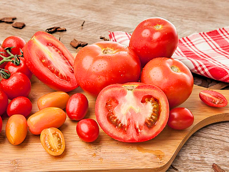 Produtor de tomate compartilha embalagens retornáveis com redes varejistas e ganha eficiência operacional