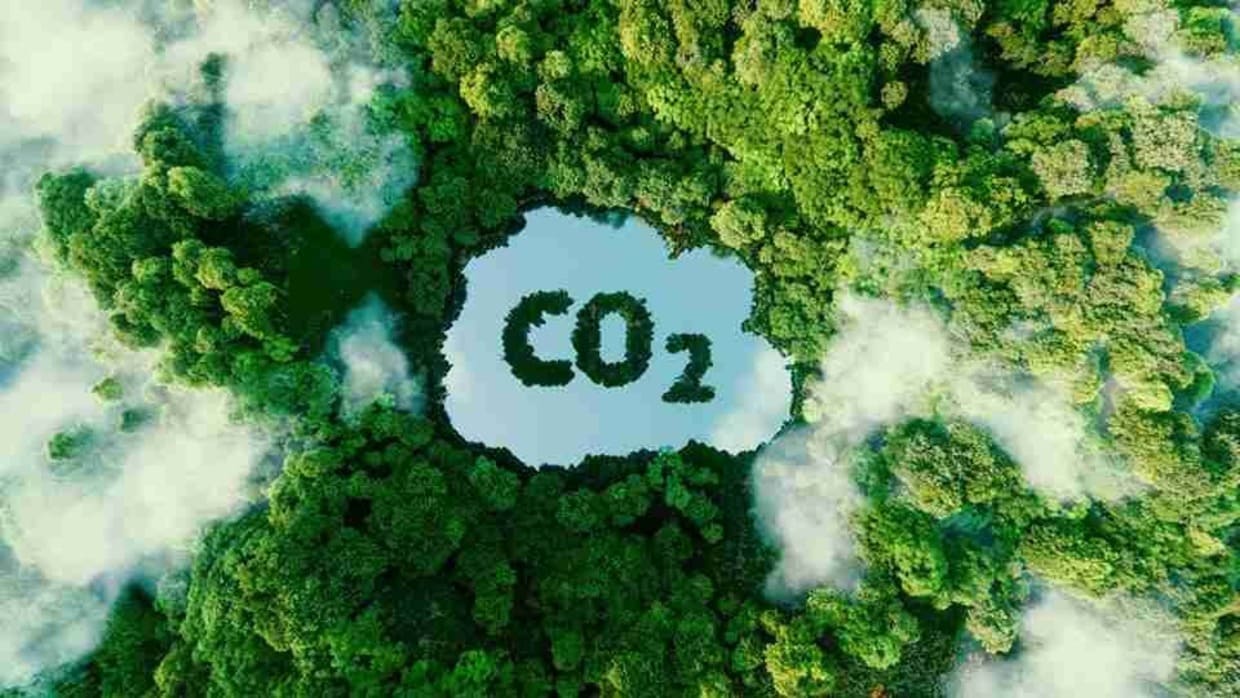 Agricultura familiar na Amazônia vira protagonista da economia de baixo carbono