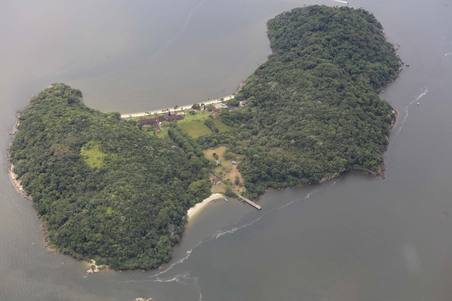 Do Pico Paraná ao Bosque do Papa: descubra os tesouros naturais dos parques estaduais