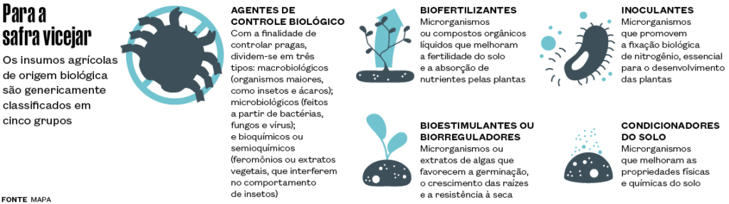 Inseticidas naturais ganham terreno no campo e desafiam o domínio dos agrotóxicos