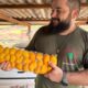 Cultivo do pequi sem espinhos ganha força e renova a produção no coração do Cerrado