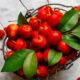 Polinizadores nativos aumentam rendimento da acerola em 103% no Vale do São Francisco