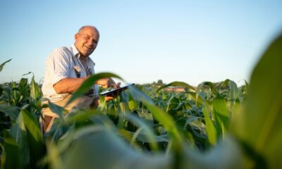 Copel Agro: distribuidora lança programa exclusivo para produtores eletrointensivos com atendimento 24h e equipes dedicadas no Paraná
