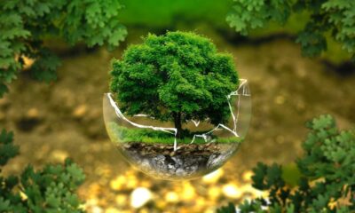 Engenharia Ambiental consolida protagonismo e amplia reconhecimento no Crea-SP
