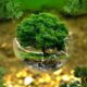 Engenharia Ambiental consolida protagonismo e amplia reconhecimento no Crea-SP
