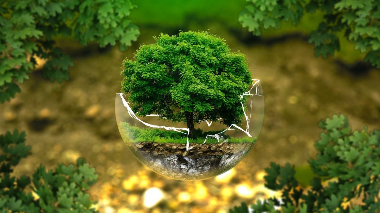 Engenharia Ambiental consolida protagonismo e amplia reconhecimento no Crea-SP