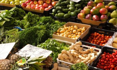 Frutas mais vendidas nas Ceasas ficam mais baratas em fevereiro, aponta Conab B