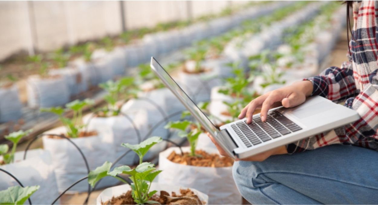 Pesquisa aponta fatores-chave para ampliar a agricultura 4.0 no Brasil