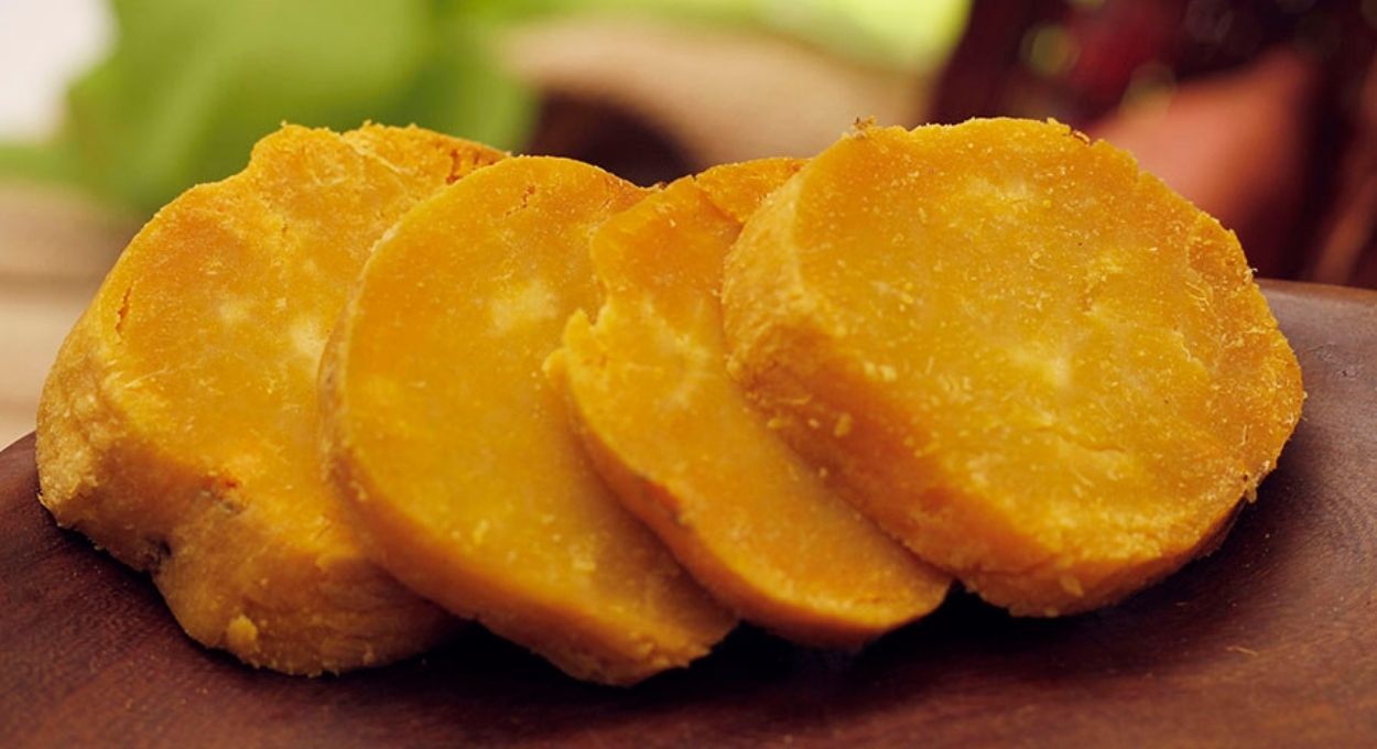 BRS Prenda: a batata-doce biofortificada da Embrapa que pode chegar a 50 toneladas por hectare