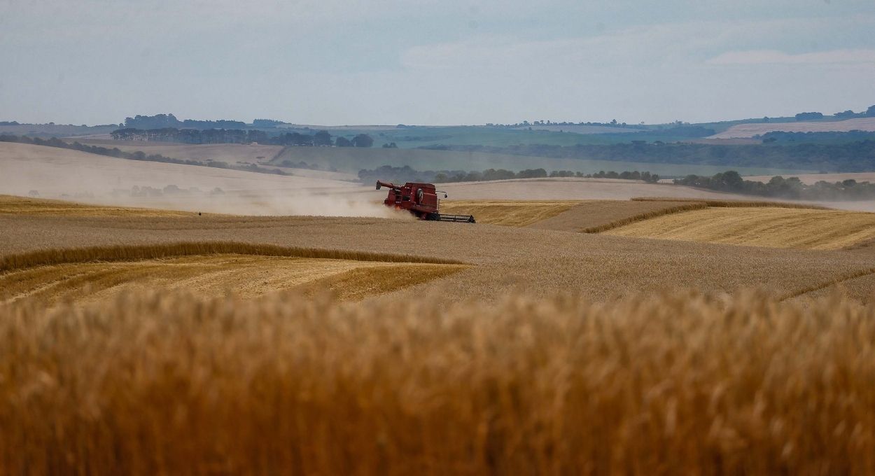 Fiagros, dívidas bilionárias e um novo marco para a terra
