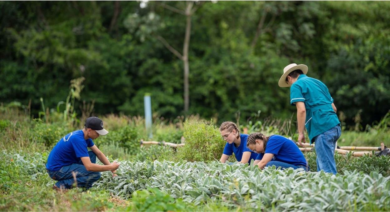 Escola técnica em Castro produz 2 mil litros de leite por dia e gera receita milionária reinvestida no próprio ensino