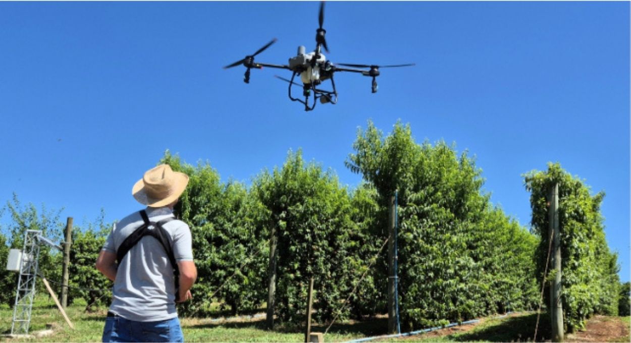 Drone em pomares: Epagri testa técnicas de pulverização para fruticultura temperada em Santa Catarina