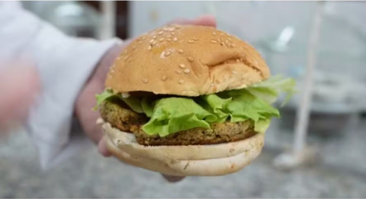 Embrapa e quebradeiras de coco transformam descarte do babaçu em hambúrguer vegano sem glúten e sem lactose
