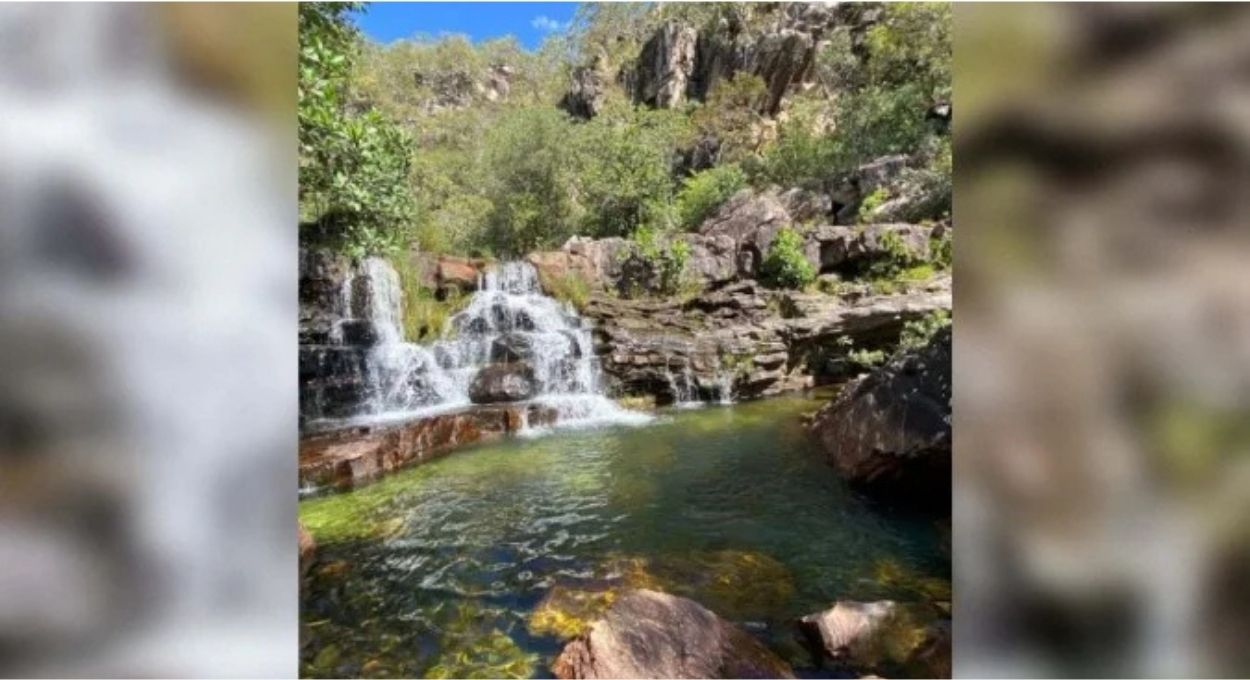 Onça-parda ataca criança de 8 anos durante trilha na Chapada dos Veadeiros; pai e funcionário reagem para salvar menina