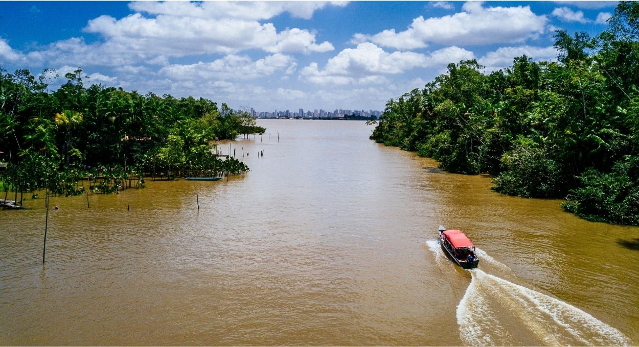 Amazônia além das commodities: como a bioeconomia está construindo valor onde antes só havia matéria-prima