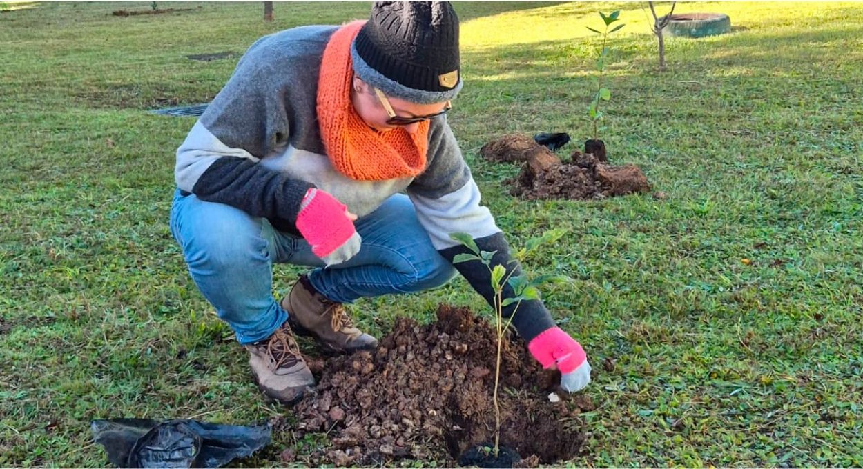 O hospital que plantou uma floresta para ajudar crianças a se recuperarem