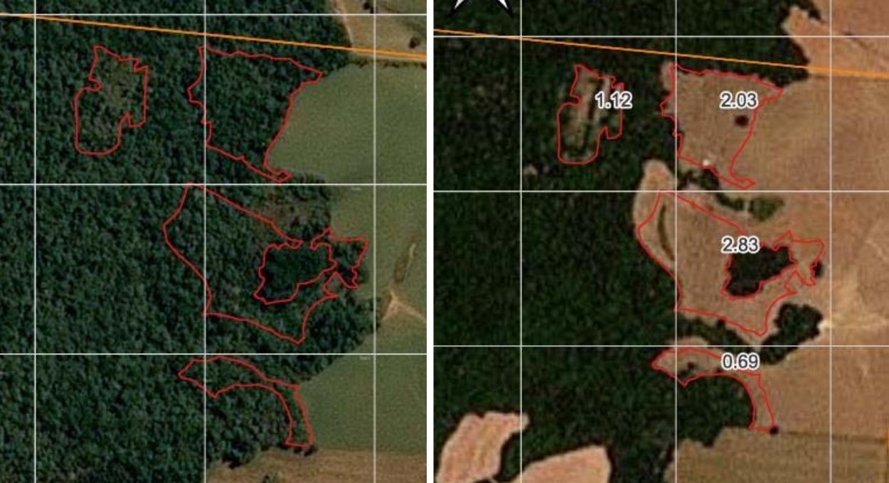 O olho no céu que está mudando a fiscalização ambiental no Paraná e já multou em R$ 109 mil