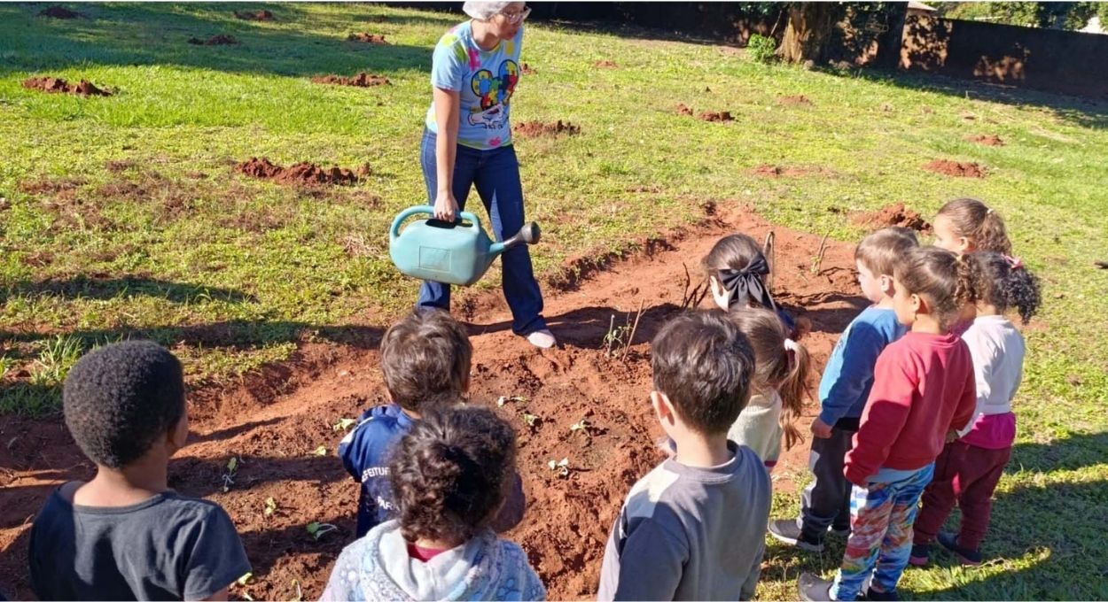 Uma muda doada, uma floresta em movimento: como o Paraná regenerou quase 5 hectares em uma semana