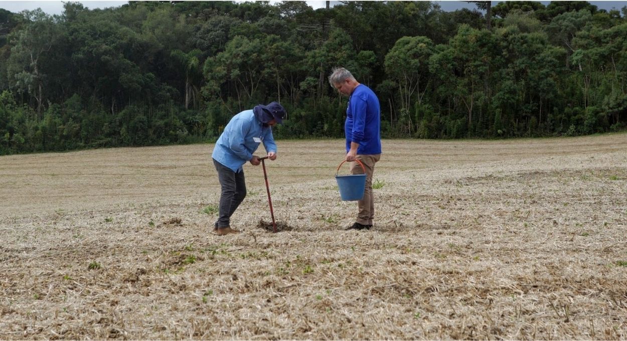 Do esgoto ao solo fértil: como o Paraná está transformando um resíduo caro em insumo agrícola de alto valor