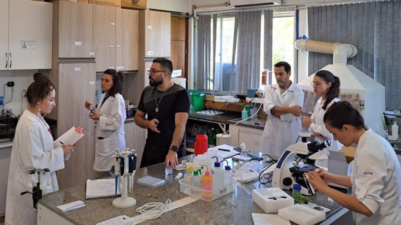 Se a natureza ao redor de uma cidade está doente, a população também está: dentro do laboratório que prova essa conexão