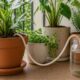 O fio que substitui você na hora de regar as plantas