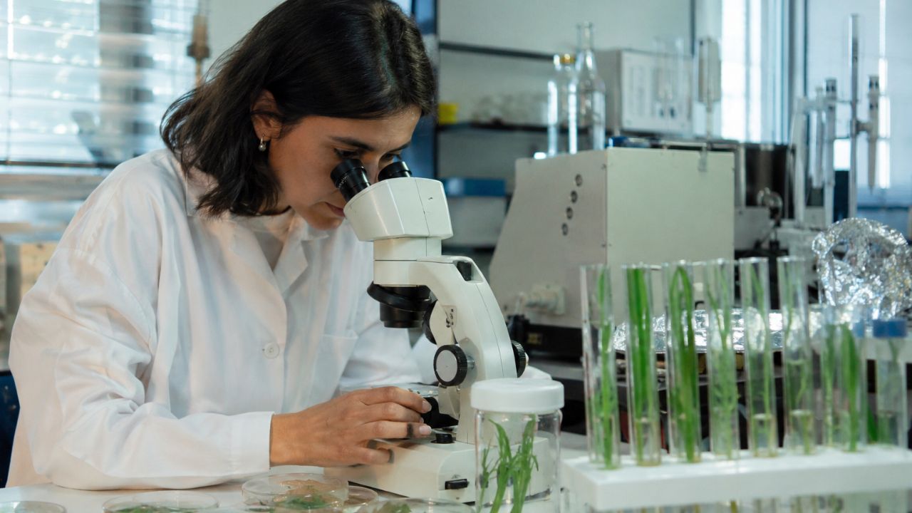 Antes do genoma humano terminar, o Brasil já tinha decifrado o DNA de uma bactéria que ninguém mais conhecia