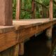 A árvore amazônica que resiste ao apodrecimento onde outras madeiras não sobrevivem