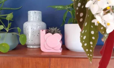 Planta com folhas de pintas prateadas inspirou até grife de sapatos: conheça a begônia maculata e como cultivá-la em casa