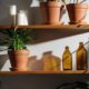 Costela-de-adão lidera a lista de plantas grandes que dão outro ar à sala e pedem pouca manutenção