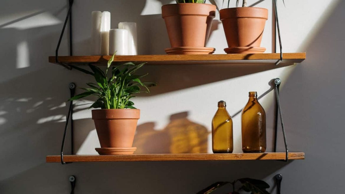 Costela-de-adão lidera a lista de plantas grandes que dão outro ar à sala e pedem pouca manutenção