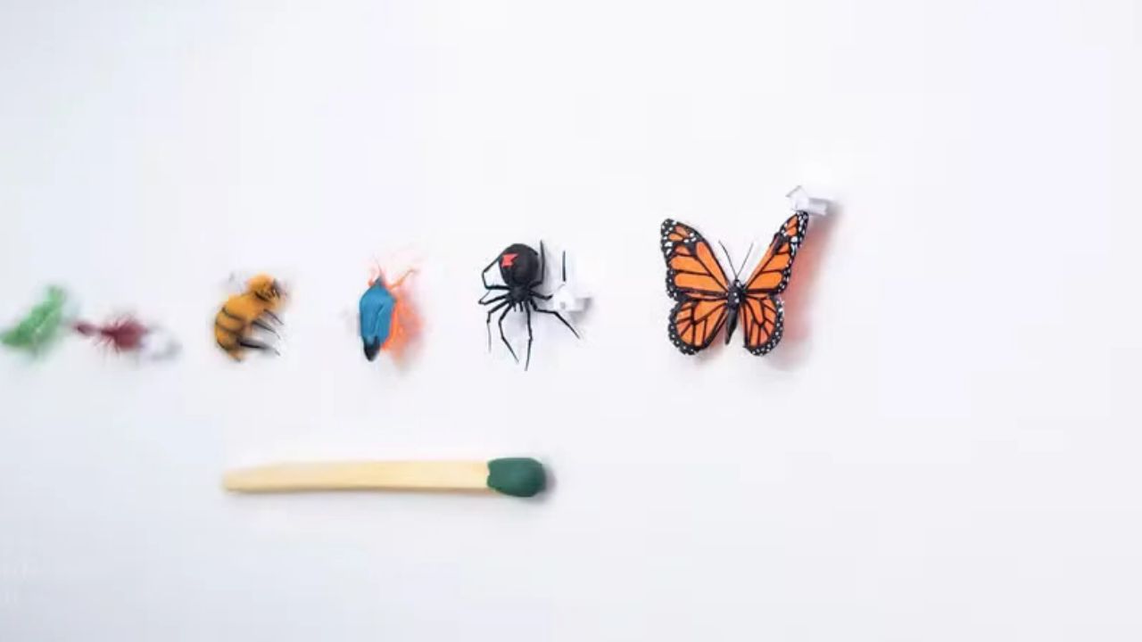 Bióloga cria esculturas menores que uma joaninha real: entenda a técnica que une ciência e arte