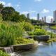 Riacho do Cavouco ganha jardim filtrante inédito no Nordeste: entenda como a técnica do rio Sena chega ao Recife