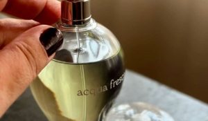 Gosta de perfumes citricos femininos? Separamos 7 perfumes para você conhecer.