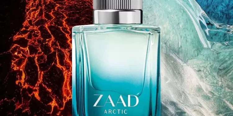 zaad arctic