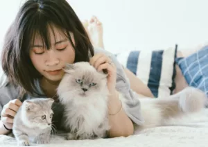 Gatos: Por Que Eles São os Companheiros Eternos das Mulheres?