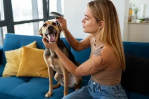 Como o carinho no seu cão pode transformar sua saúde mental