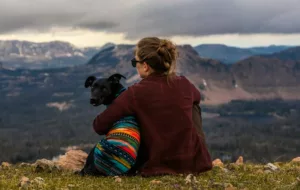 Os Cães Preferidos pelas Mulheres: Descubra as Raças que Encantam e os Motivos por Trás Dessa Escolha