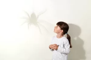 O que significa sonhar com aranha? Descubra o Que Seu Subconsciente Quer Revelar