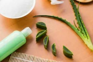 Babosa no cabelo: o segredo natural para fios saudáveis e brilhantes