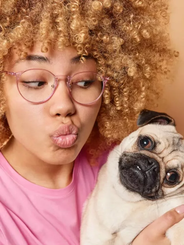 cropped emocional pet 1