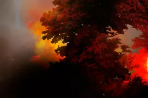 O Que Significa Sonhar com Incêndio? A Psicologia Explica
