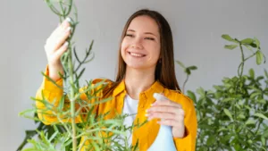 Pesquisadores descobrem que fragrâncias podem potencializar a memória e aprendizado em adultos mais velhos