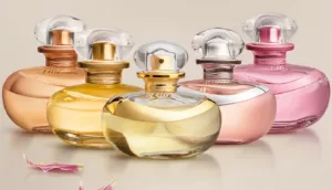 Os Perfumes Mais Encantadores da Linha Lily: Qual Combina Mais com Você?