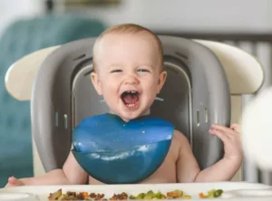 6 Receitas de Papinhas Nutritivas para Bebês: Sabor e Saúde na Primeira Infância