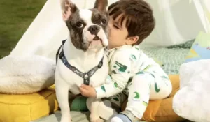 Bibi Pets: marca de calçados infantis estreia no universo pet com linha fofa e cheia de afeto