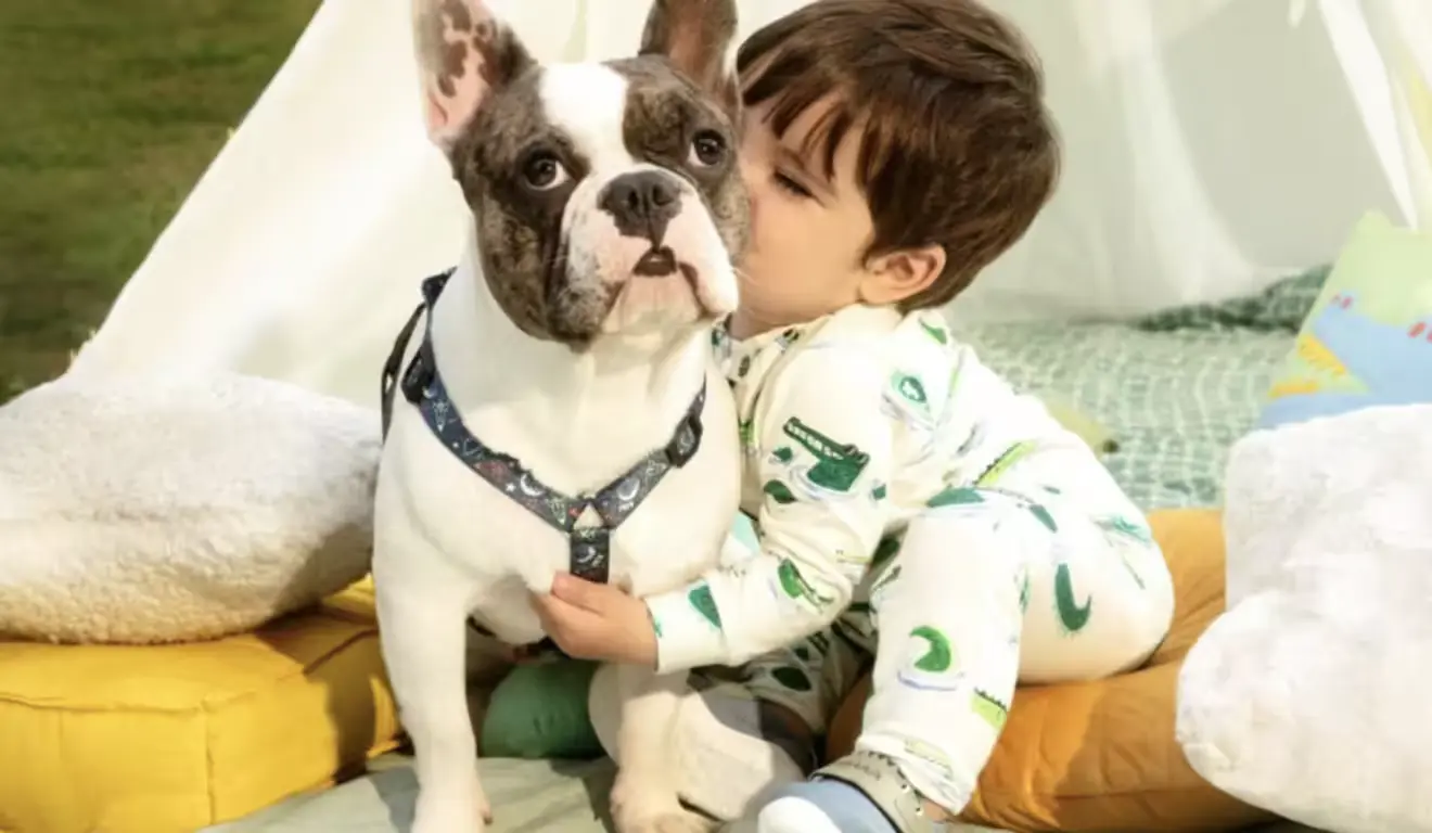 bibi pet - Bibi Pets: marca de calçados infantis estreia no universo pet com linha fofa e cheia de afeto