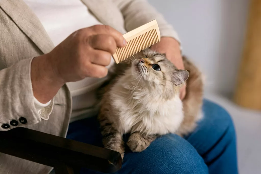 cachorro pulga 3 - Pulgas em cães e gatos: os perigos invisíveis que rondam a saúde do seu pet