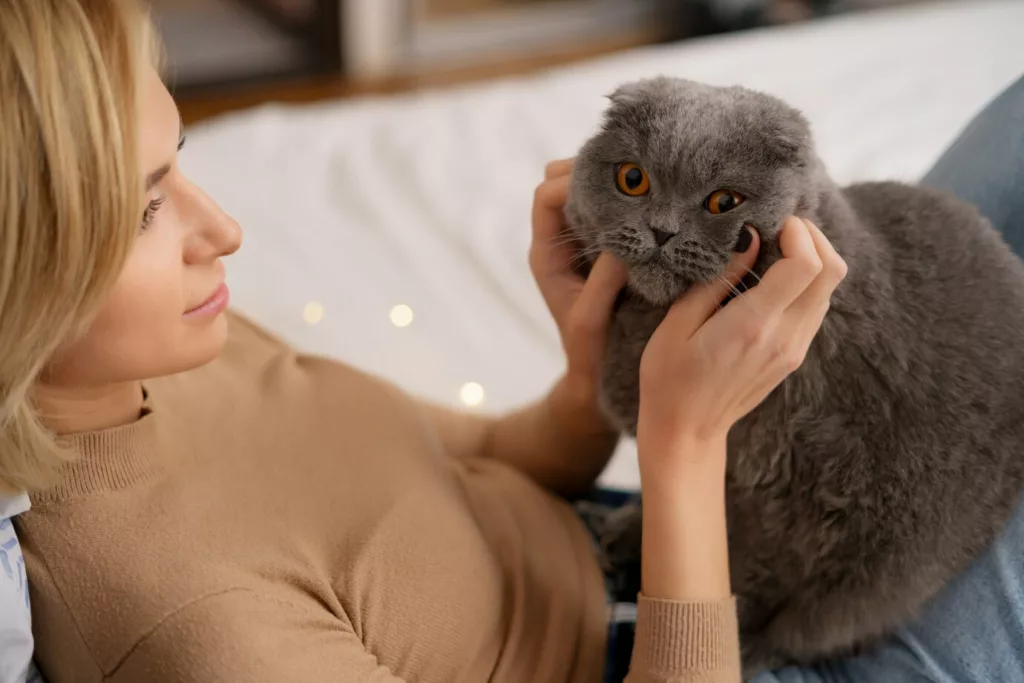 gato estressado 4 - Sinais que mostram que seu gato está estressado — e como ajudar a trazer de volta o equilíbrio emocional dele